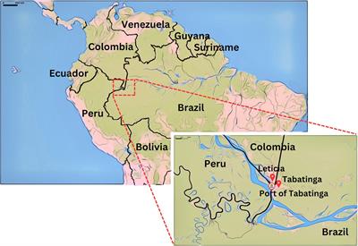 Implementing a provisional overarching intervention for COVID-19 monitoring and control in the Brazil-Colombia-Peru frontier